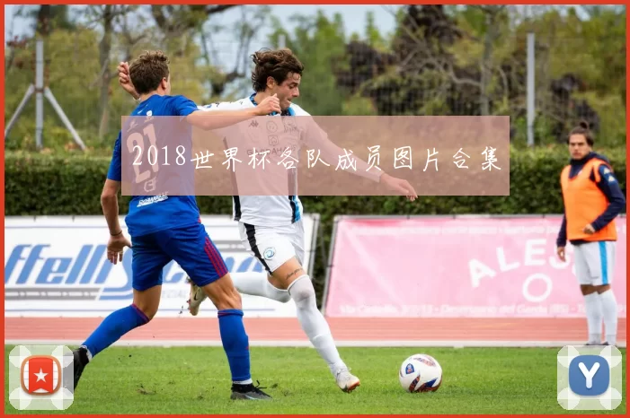 2018世界杯各队成员图片合集