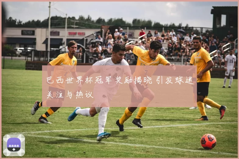 巴西世界杯冠军奖励揭晓 引发球迷关注与热议