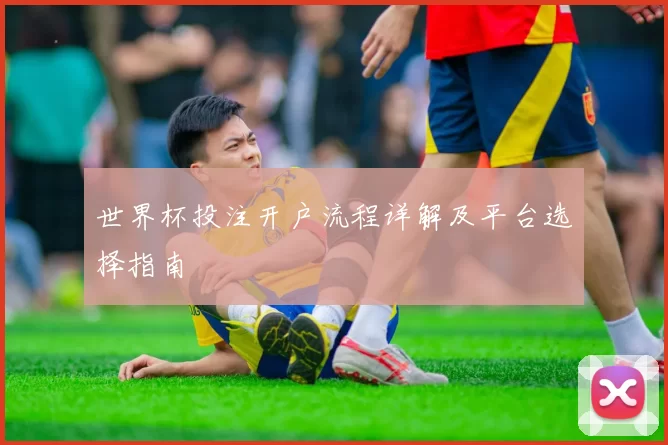 世界杯投注开户流程详解及平台选择指南