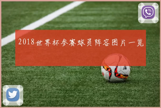 2018世界杯参赛球员阵容图片一览