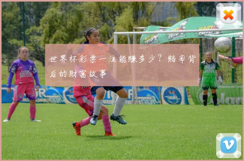 世界杯彩票一注能赚多少?赔率背后的财富故事