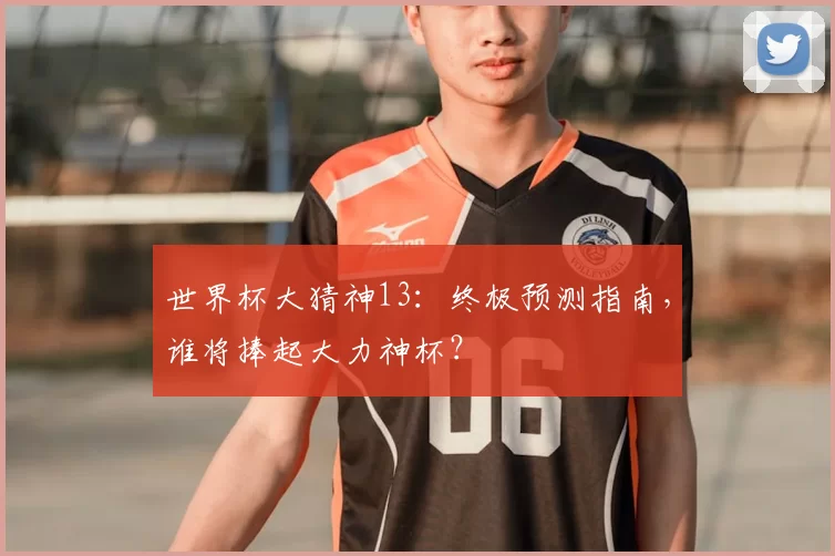 世界杯大猜神13:终极预测指南,谁将捧起大力神杯?
