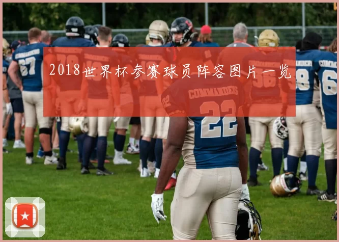 2018世界杯参赛球员阵容图片一览