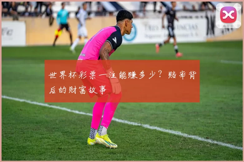 世界杯彩票一注能赚多少？赔率背后的财富故事