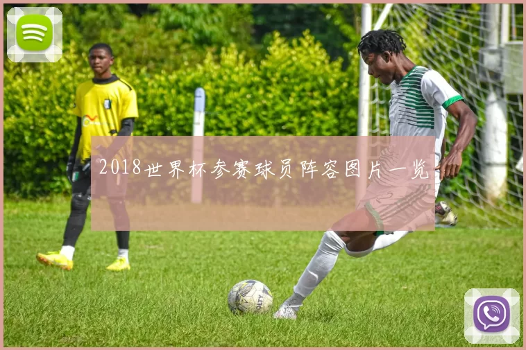 2018世界杯参赛球员阵容图片一览