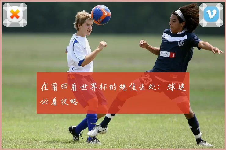 在莆田看世界杯的绝佳去处:球迷必看攻略