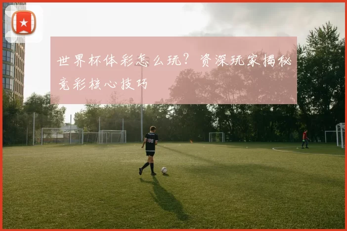 世界杯体彩怎么玩？资深玩家揭秘竞彩核心技巧