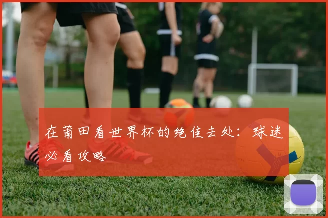 在莆田看世界杯的绝佳去处:球迷必看攻略