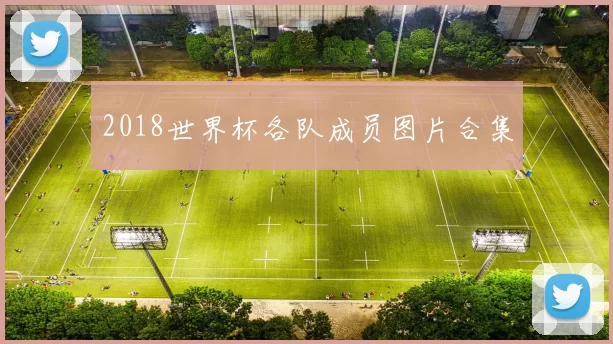 2018世界杯各队成员图片合集